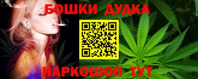 молекула духа Донской