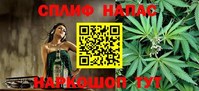 шишки Дубна