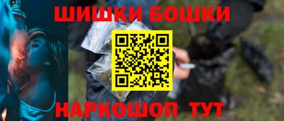 шишки Дубна