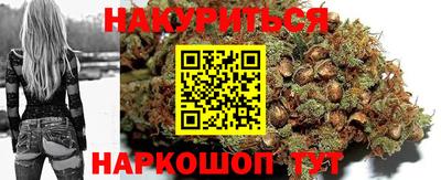 молекула духа Донской