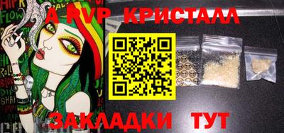 шишки Дубна