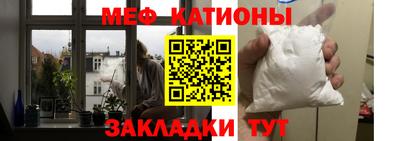 шишки Дубна