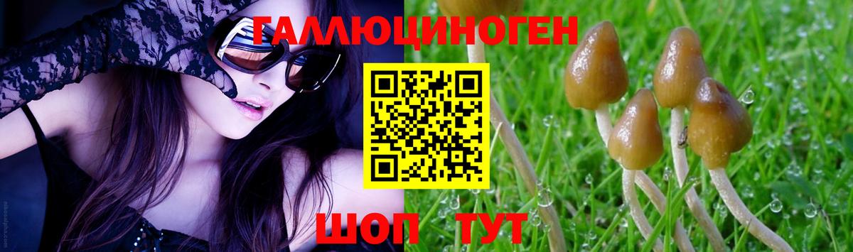 Нарткала  Галлюциногенные грибы MAGIC MUSHROOMS  Галлюциногенные грибы Cubensis  Вход с VPN 